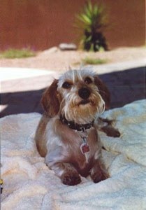 Jenny